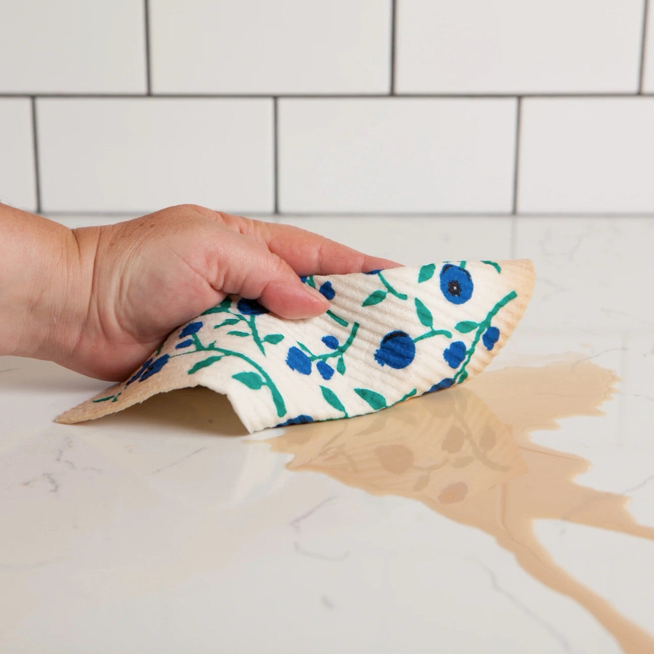 Blueberries Sponge Cloth