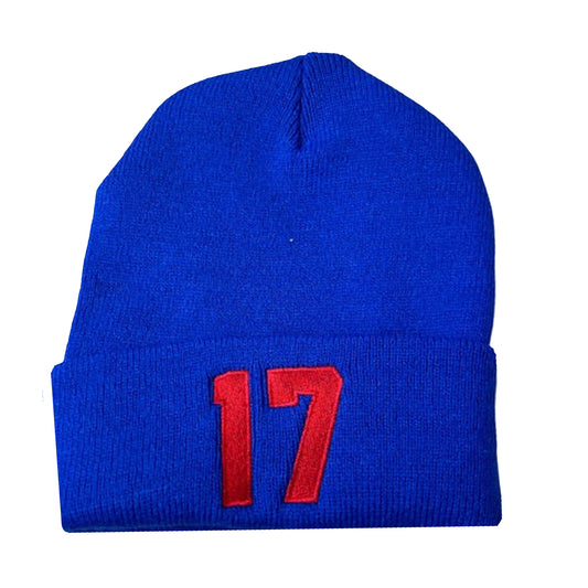 17 Beanie