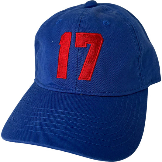 17 Baseball Cap