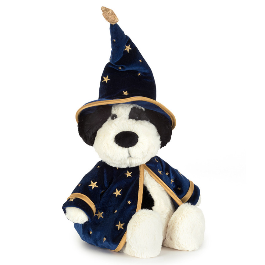 Rufferty Puppy Wizard Outfit