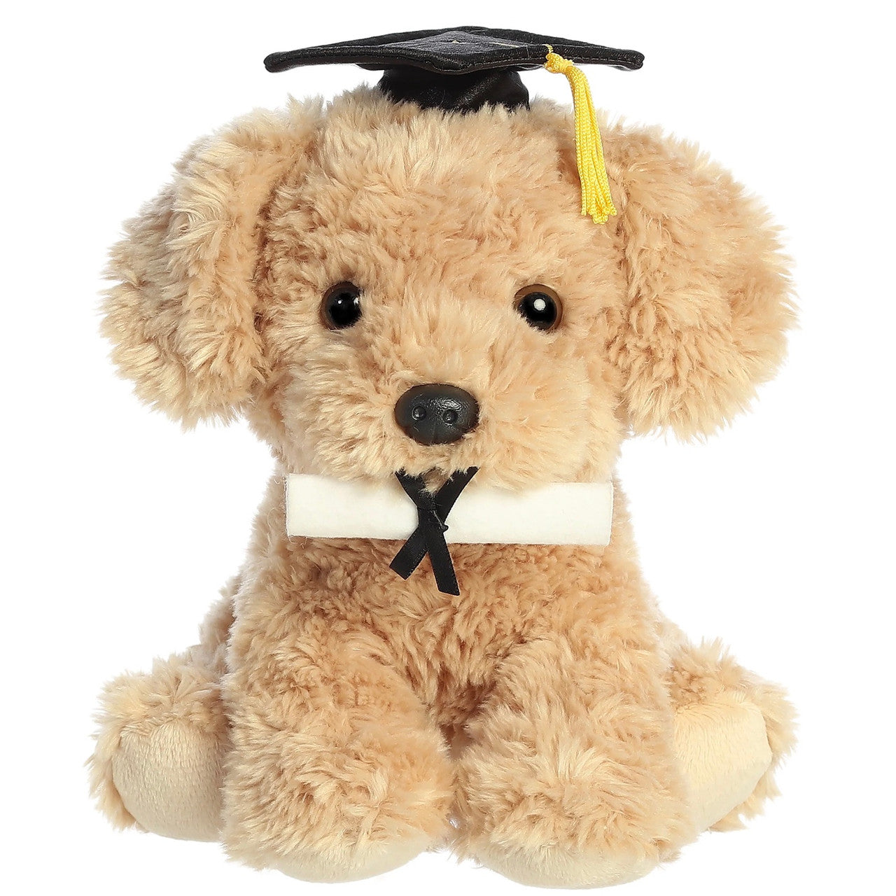 Graduation Pup